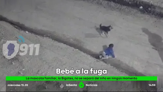 bebé a la fuga bebé a la fuga