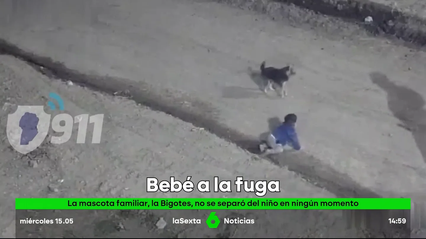 bebé a la fuga bebé a la fuga