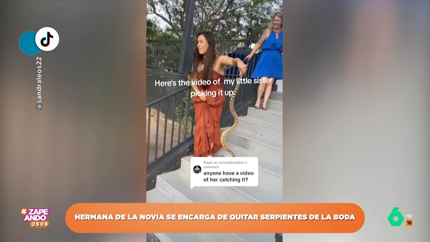 La curiosa tarea de una dama de honor una boda: llevarse a una serpiente que se había colado sin invitación La curiosa tarea de una dama de honor una boda: llevarse a una serpiente que se había colado sin invitación