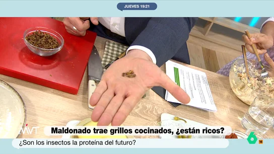 ¿Son los insectos la proteína del futuro? El chef Maldonado trae grillos cocinados a Más Vale Tarde El chef con estrella Michelin Carlos Maldonado sorprende al plató de Más Vale Tarde con un curioso ingrediente para su ensaladilla rusa, unos grillos con tomate que maravillan a Iñaki López en este vídeo: "Para verte un maratón es maravilloso".