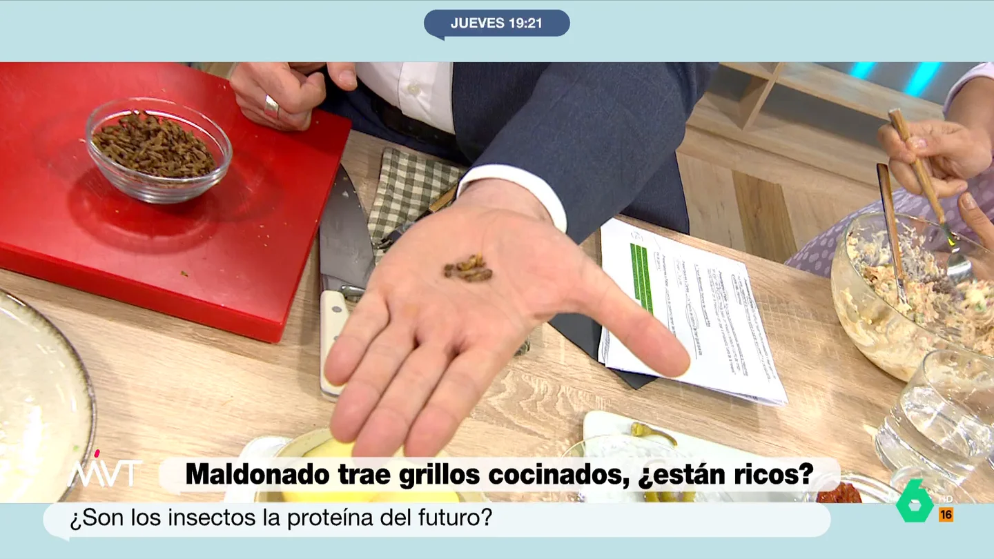 ¿Son los insectos la proteína del futuro? El chef Maldonado trae grillos cocinados a Más Vale Tarde El chef con estrella Michelin Carlos Maldonado sorprende al plató de Más Vale Tarde con un curioso ingrediente para su ensaladilla rusa, unos grillos con tomate que maravillan a Iñaki López en este vídeo: "Para verte un maratón es maravilloso".