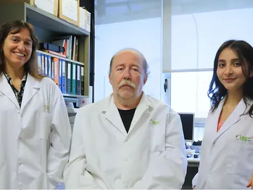 investigadores principales investigadores principales