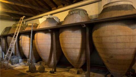 Tinajas en bodegas Solera