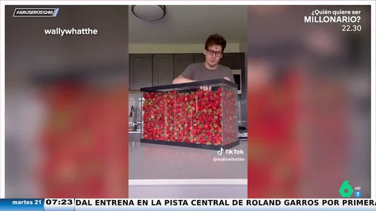 Se come 100 litros de fresas en 12 horas: "Pensaba que las convertía en líquido, pero se come la fresa tal cual" Se come 100 litros de fresas en 12 horas: "Pensaba que las convertía en líquido, pero se come la fresa tal cual"