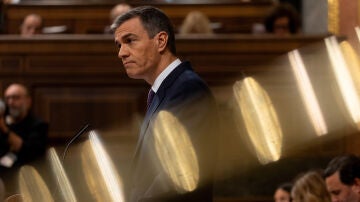 El presidente del Gobierno, Pedro Sánchez, comparece en el Congreso de los Diputados