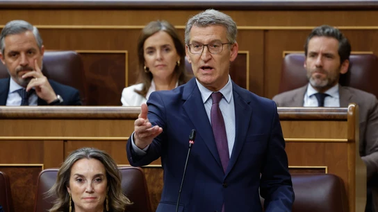 El líder del PP, Alberto Núñez Feijóo, interviene desde su escaño durante el pleno del Congreso de los Diputados celebrado este miércoles. El líder del PP, Alberto Núñez Feijóo, interviene desde su escaño durante el pleno del Congreso de los Diputados celebrado este miércoles.