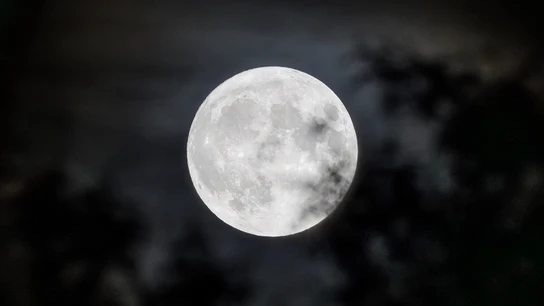 Llega la luna llena de las flores en mayo de 204 Imagen de la luna llena