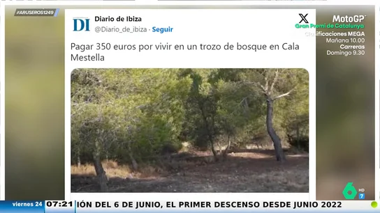Polémico anuncio de alquiler en Ibiza: 350 euros al mes por una parcela en un bosque Polémico anuncio de alquiler en Ibiza: 350 euros al mes por una parcela en un bosque