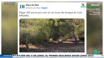 Polémico anuncio de alquiler en Ibiza: 350 euros al mes por una parcela en un bosque