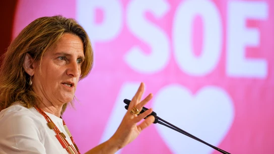 La candidata del PSOE al Parlamento Europeo, Teresa Ribera, durante un acto de campaña en Las Palmas de Gran Canaria La candidata del PSOE al Parlamento Europeo, Teresa Ribera, durante un acto de campaña en Las Palmas de Gran Canaria