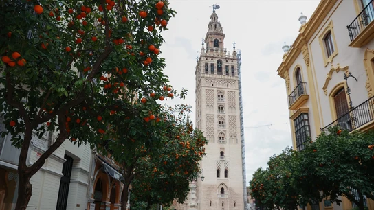 Vista de la Giralda desde Mateos Gago, con naranjos alineados a ambos lados de la calle. Vista de la Giralda desde Mateos Gago, con naranjos alineados a ambos lados de la calle.