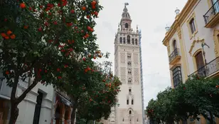 Vista de la Giralda desde Mateos Gago, con naranjos alineados a ambos lados de la calle.