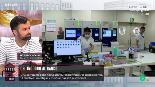 LA ROCA Un experto asegura que la microbiota fecal puede mejorar la obesidad, la diabetes o salud mental 