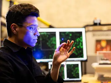 control por optogenética control por optogenética