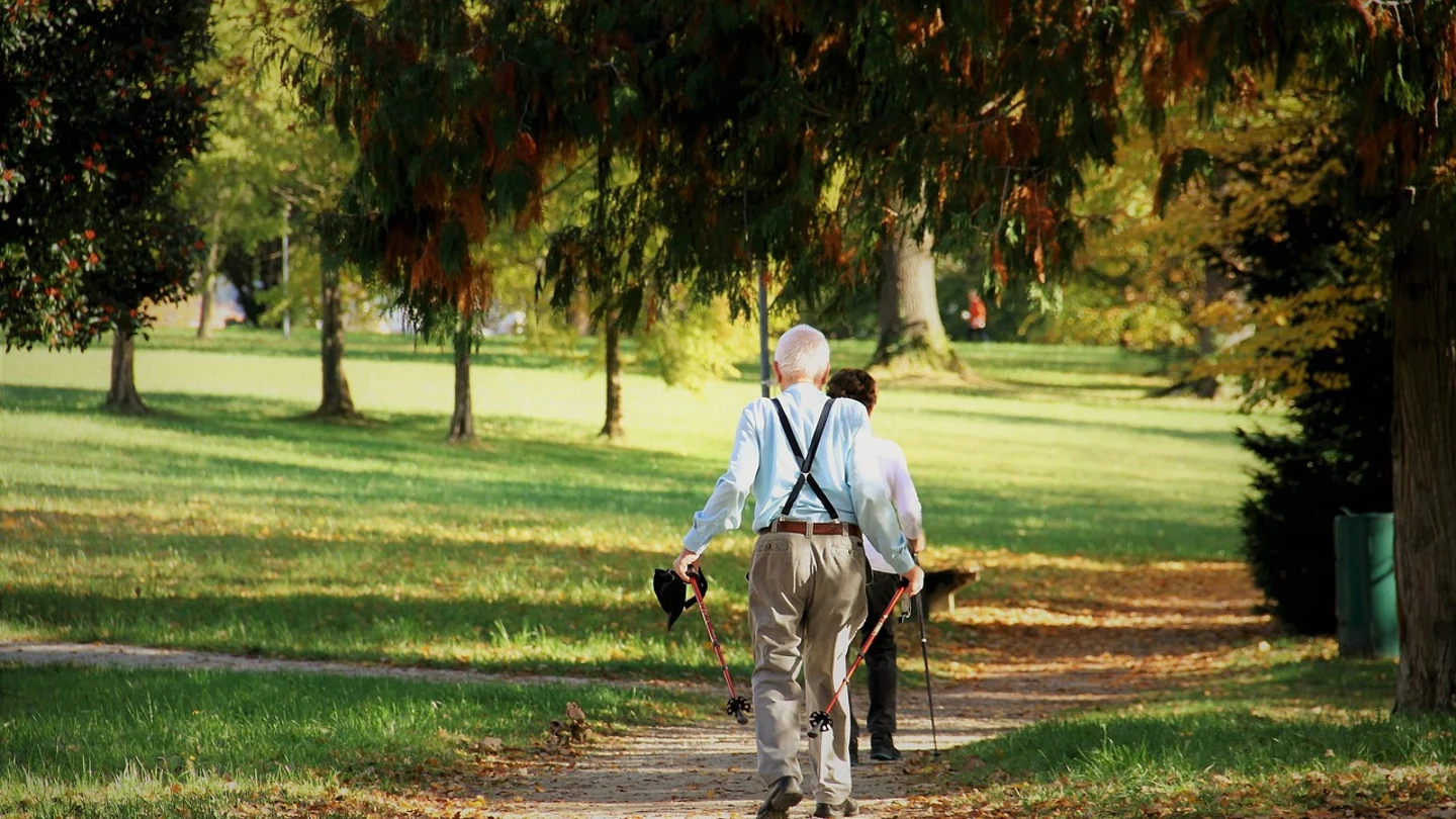 Personas mayores en un parque personas mayores en un parque