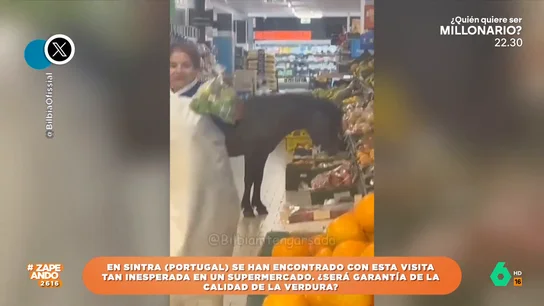 La inesperado visitante al que sorprenden en la sección de verduras de un supermercado de Portugal La inesperado visitante al que sorprenden en la sección de verduras de un supermercado de Portugal