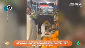 La inesperado visitante al que sorprenden en la sección de verduras de un supermercado de Portugal