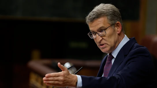 El líder del PP, Alberto Núñez Feijóo. El líder del PP, Alberto Núñez Feijóo.