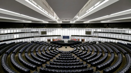El Parlamento Europeo. El Parlamento Europeo.