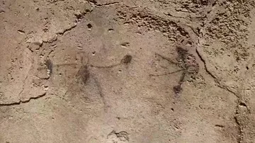 The latest spectacular discovery in Pompeii: drawings made by children of gladiator fights The latest spectacular discovery in Pompeii: drawings made by children of gladiator fights