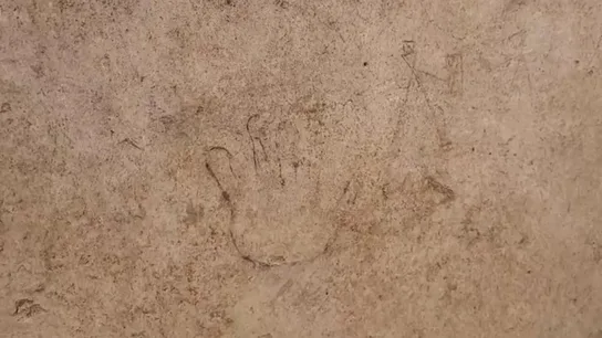 Dibujos en las paredes de Pompeya hechos por niños Dibujos en las paredes de Pompeya hechos por niños