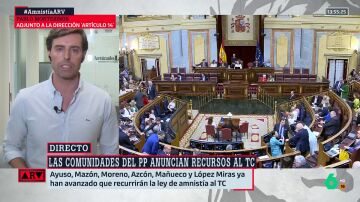 ARV- Montesinos, sobre la actuación de Vox en el Congreso: "El PP ha querido distanciarse de forma clara"
