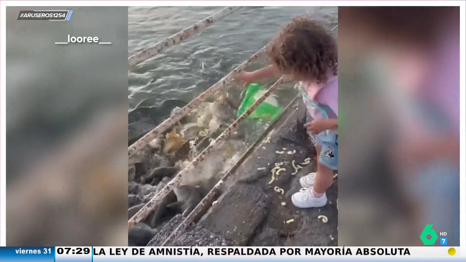 Una niña consigue atraer a un banco de peces tirando una bolsa de gusanitos: " Vas allí con una red y abres un supermercado"