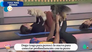 La última moda entre los amantes de los perros: el &#39;doga&#39;, o yoga perruno, para conectar con tu mascota