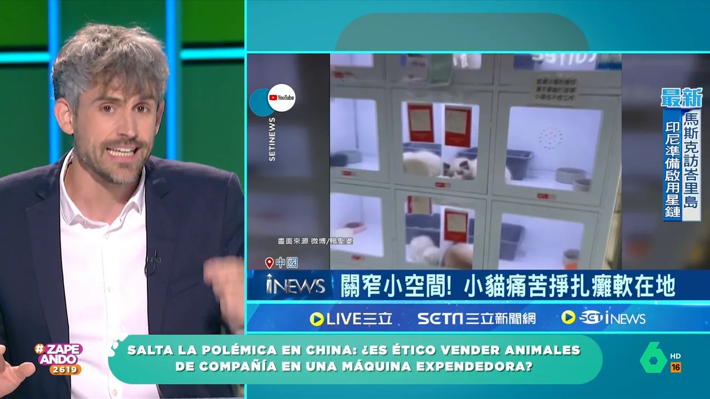 Víctor Algra opina sobre las polémicas máquinas expendedoras de animales: "Es una aberración" Víctor Algra opina sobre las polémicas máquinas expendedoras de animales: "Es una aberración"