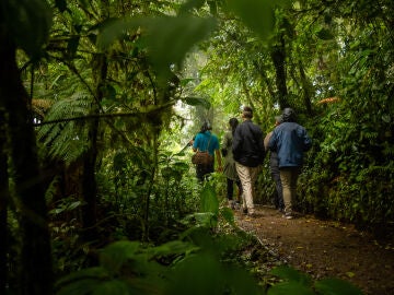Grupo de senderistas en Monteverde, Costa Rica