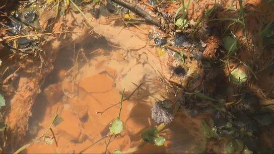 Contaminación del riacho en la Mina de Touro Contaminación del riacho en la Mina de Touro