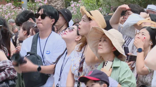 Un grupo de turistas chinos en su visita a Barcelona. Un grupo de turistas chinos en su visita a Barcelona.