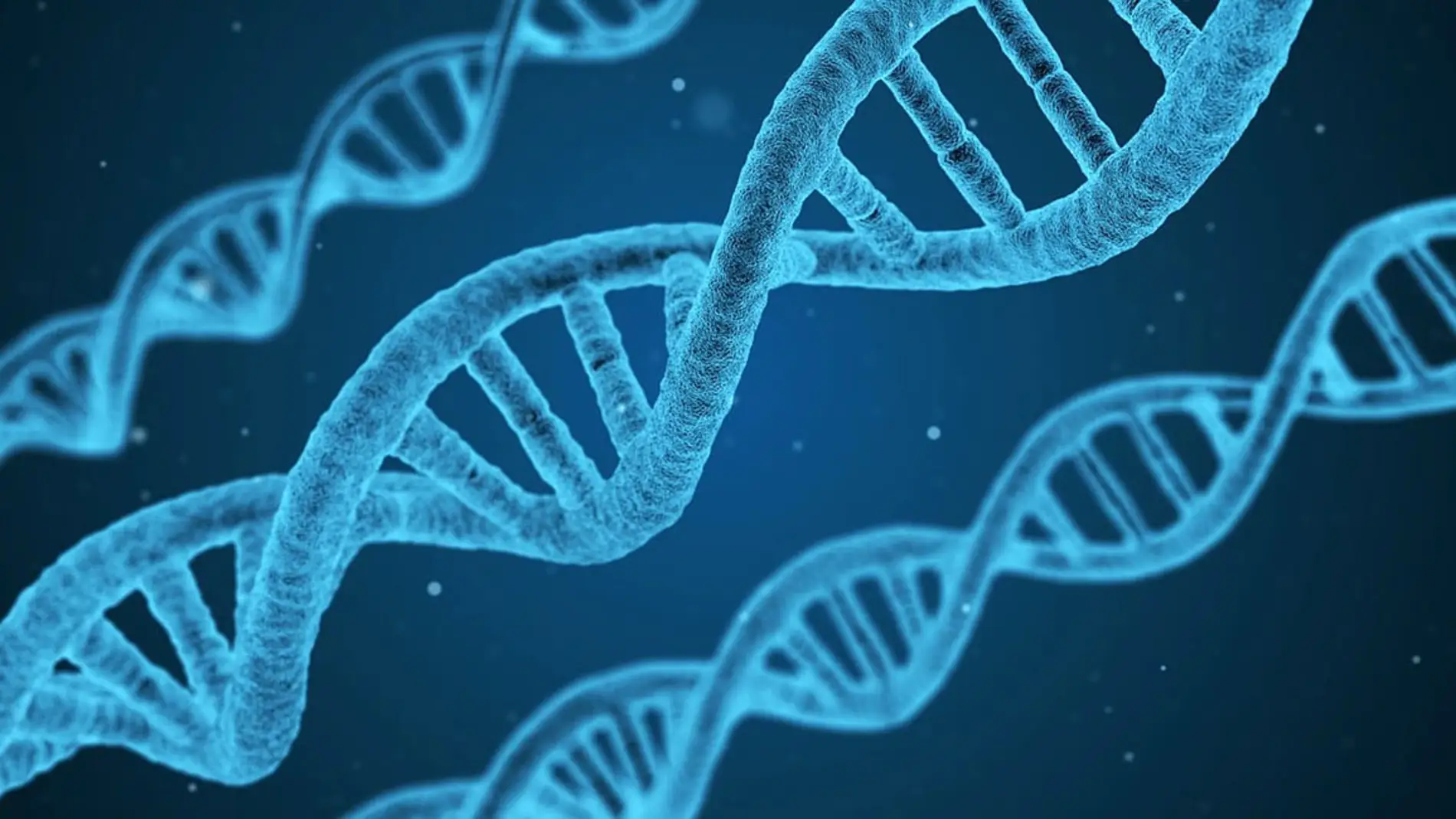 La arteritis de células gigantes está causada por la alteración de numerosos genes La arteritis de células gigantes está causada por la alteración de numerosos genes