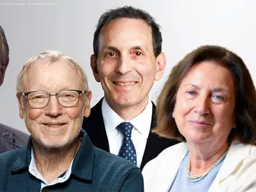 Los cinco investigadores galardonados Los cinco investigadores galardonados