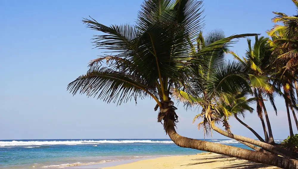 Playa Bávaro. Punta Cana (República Dominicana) Playa Bávaro. Punta Cana (República Dominicana)