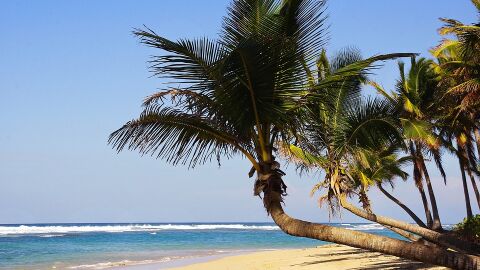 Playa Bávaro. Punta Cana (República Dominicana)