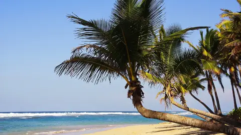 Playa Bávaro. Punta Cana (República Dominicana) Playa Bávaro. Punta Cana (República Dominicana)