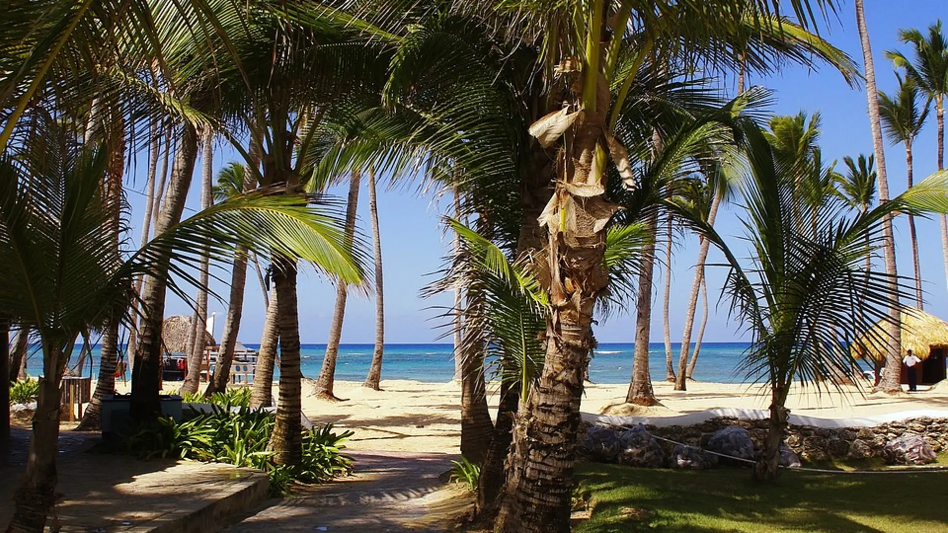 Playa Bavaro, Punta Cana (República Dominicana) Playa Bavaro, Punta Cana (República Dominicana)