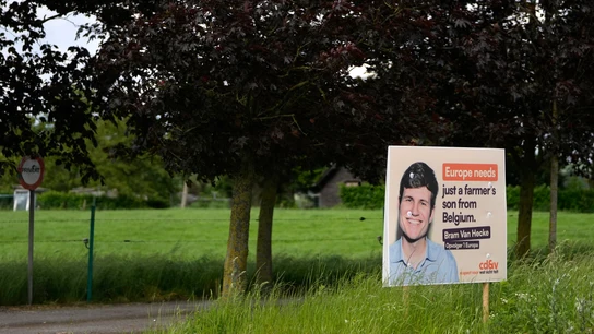 Propaganda electoral de las elecciones europeas en Beveren (Bélgica), en junio de 2024 Propaganda electoral de las elecciones europeas en Beveren (Bélgica), en junio de 2024