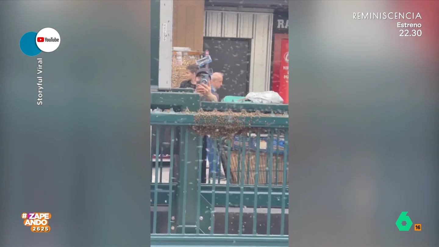 Un enjambre de abejas se instala en una boca de metro de Queens, en Nueva York Un enjambre de abejas se instala en una boca de metro de Queens, en Nueva York