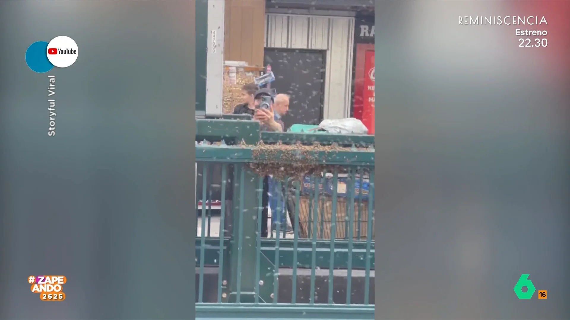 Un enjambre de abejas se instala en una boca de metro de Queens, en Nueva York