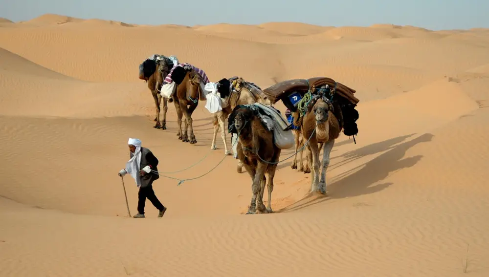 Desierto del Sáhara en Túnez