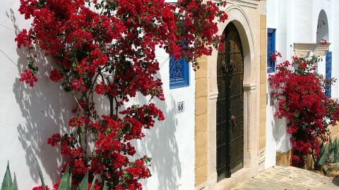 Sidi Bou Said