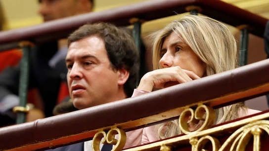 La esposa de Pedro Sánchez, Begoña Gómez, y su hermano, David Sánchez, en la tribuna de invitados del Congreso de los Diputados. La esposa de Pedro Sánchez, Begoña Gómez, y su hermano, David Sánchez, en la tribuna de invitados del Congreso de los Diputados./ EFE/Ballesteros