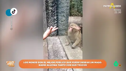 Un mono alucina con el truco que le hace un hombre que le visita en el zoo