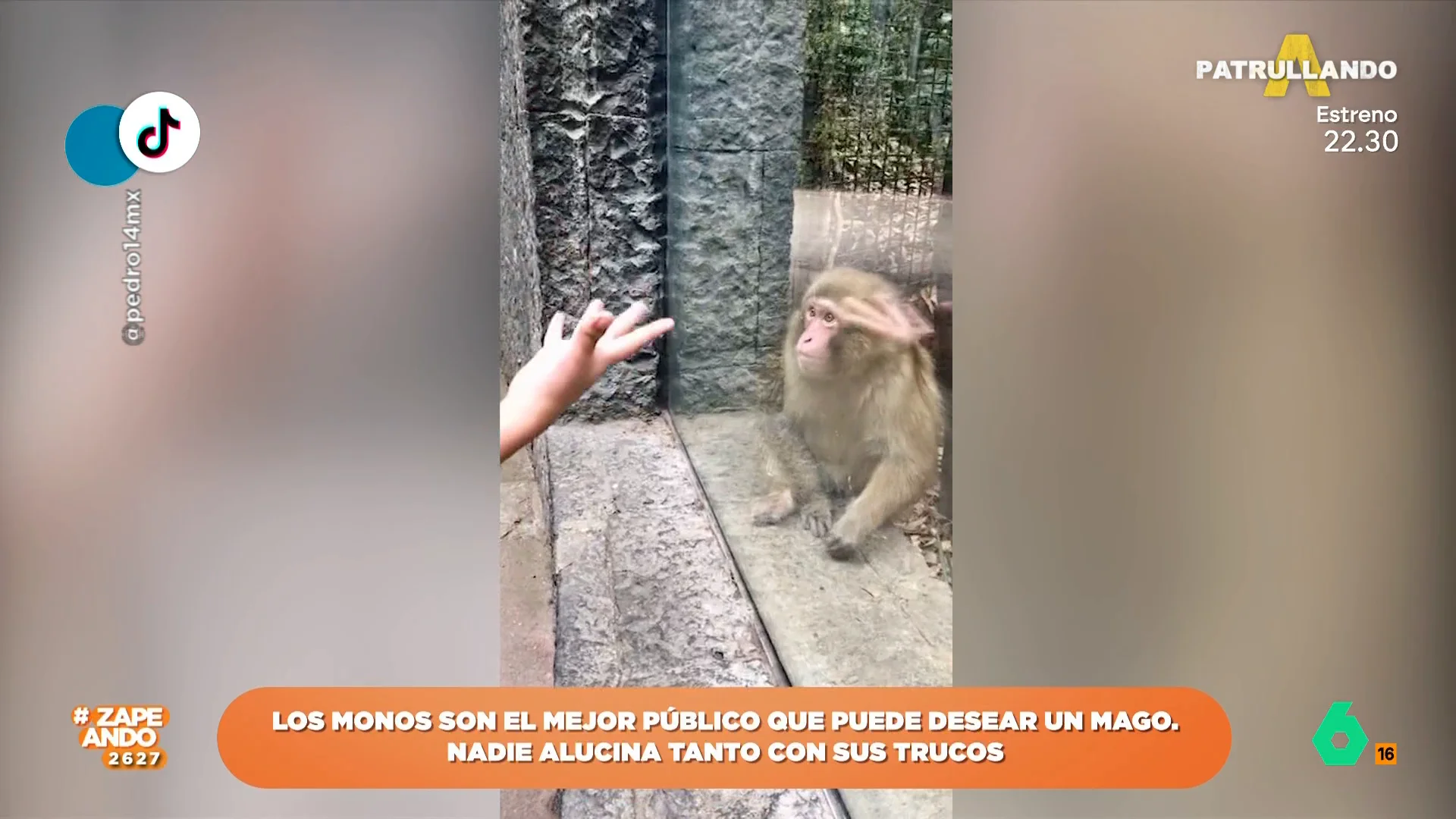 Un mono alucina con el truco que le hace un hombre que le visita en el zoo