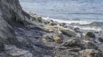 La Playa del Pozuelo, Granada, obtiene una de las 48 banderas negras del litoral español 2023 de Ecologistas en Acción.