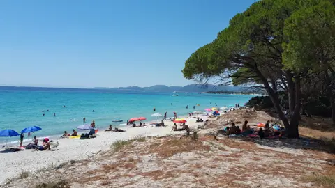 Playa de Palombaggia en Córcega Playa de Palombaggia en Córcega