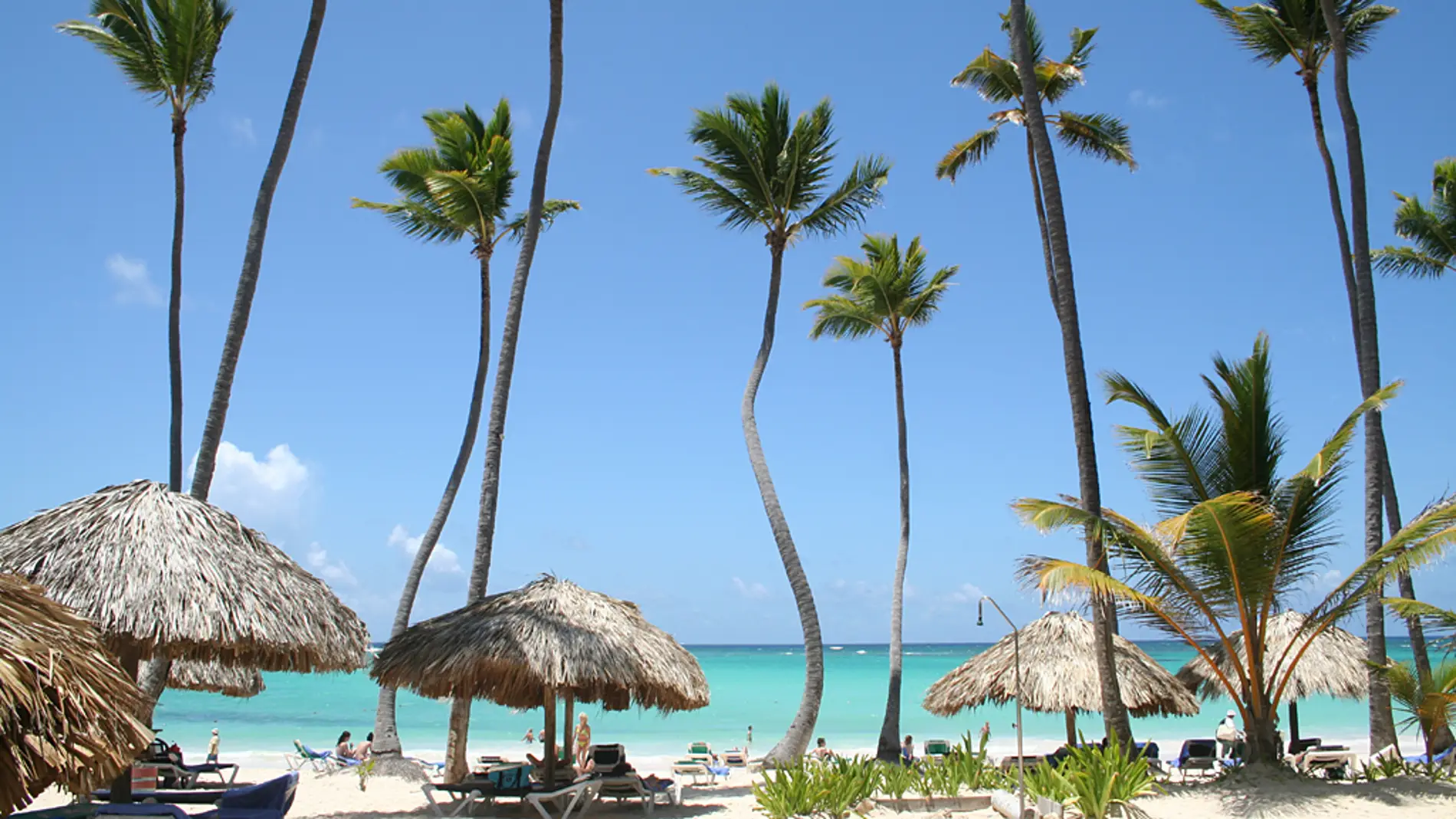 Punta Cana Punta Cana