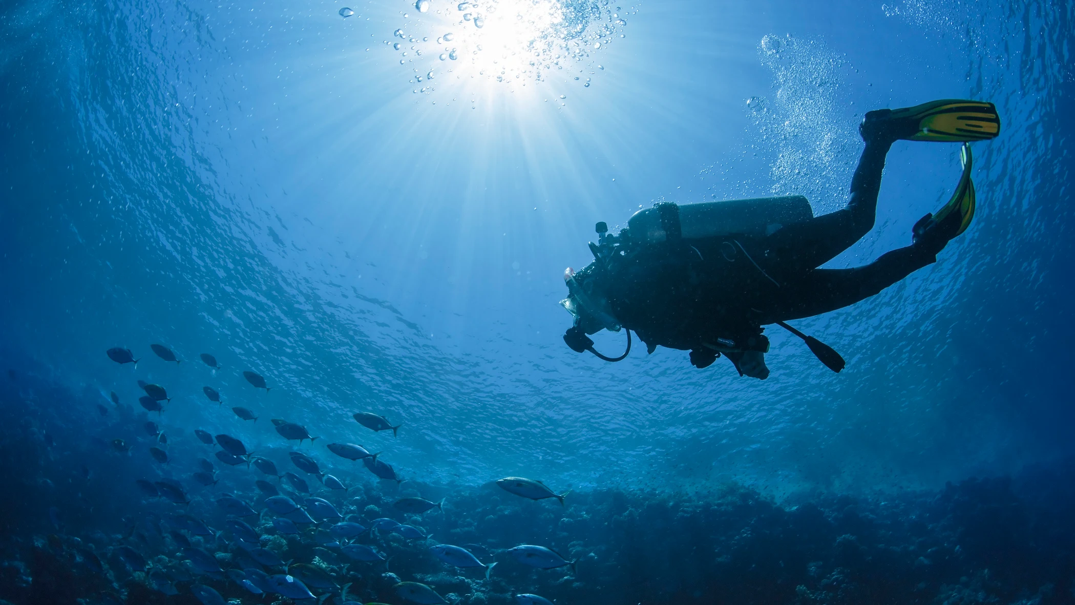 Persona haciendo buceo en el mar